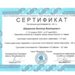 Команда